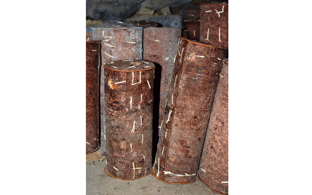 Preparate Traditionale